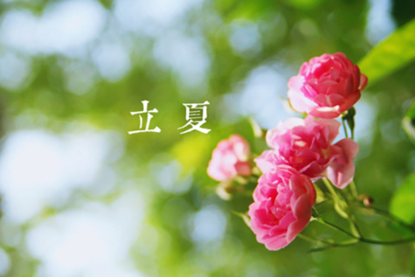 JBO竞博官网是什么涂装|立夏,万物向阳,且共成长